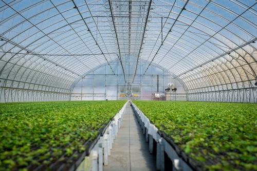 Fuel For Your Greenhouse Heater